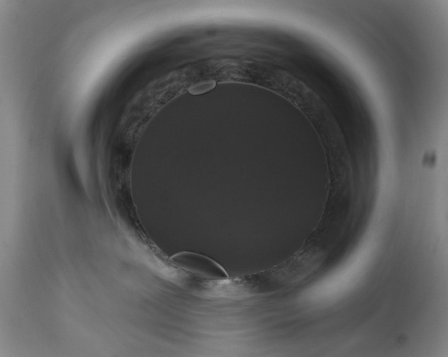 X0000113550239200910021538