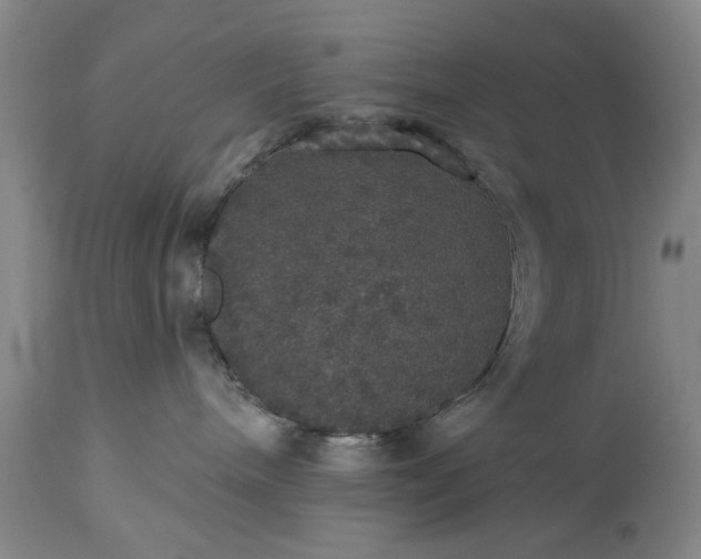 X0000113550240200910021538