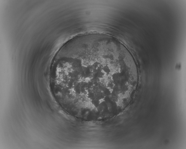 X0000113550241200910021537