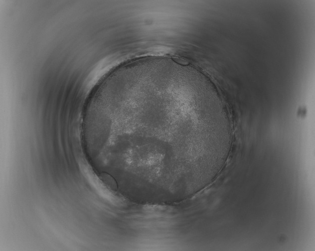 X0000113550242200910021537