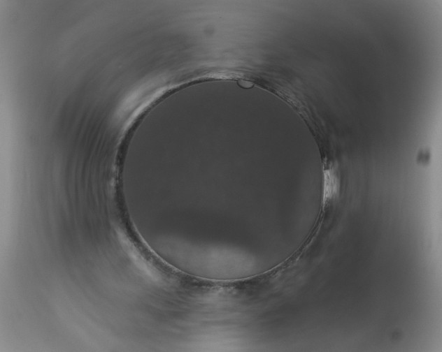 X0000113550243200910021537