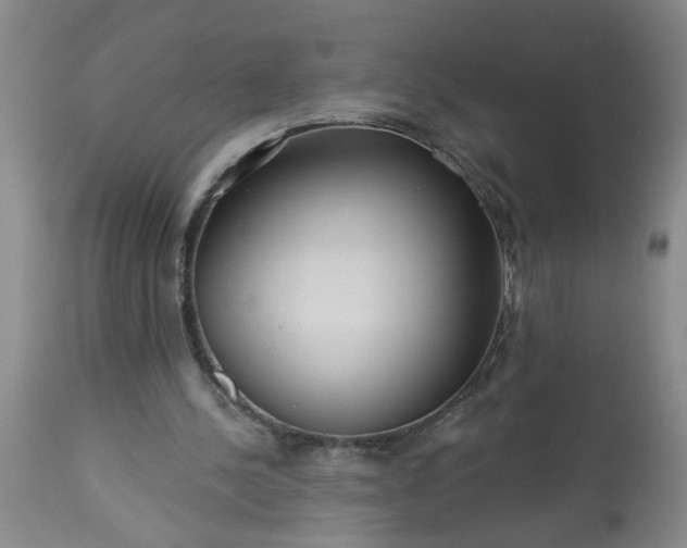 X0000113550244200910021537