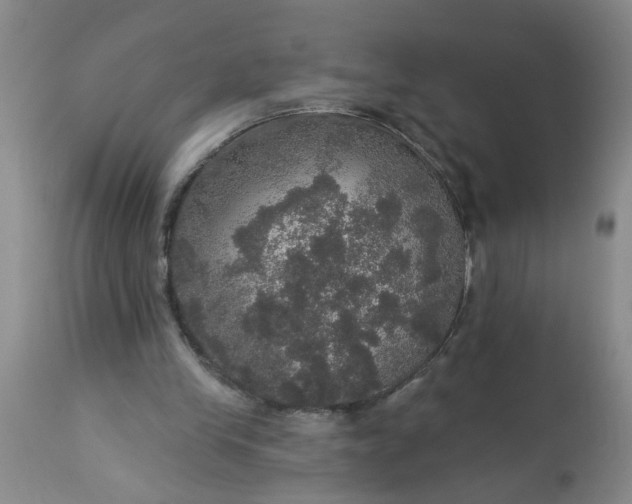 X0000113550245200910021537