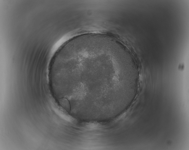 X0000113550246200910021537