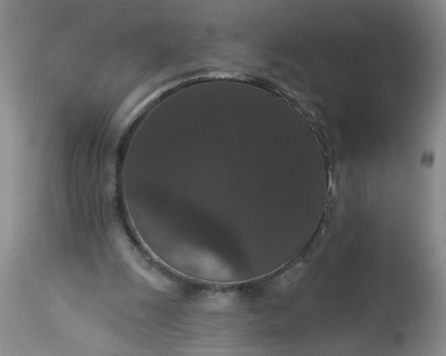 X0000113550247200910021537