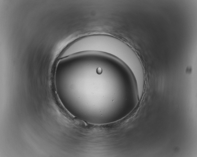 X0000113550248200910021537