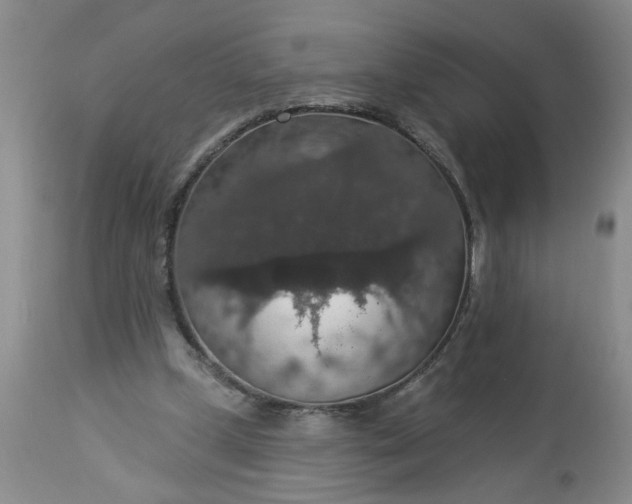 X0000113550249200910021537