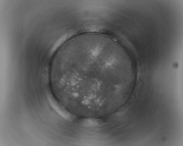 X0000113550250200910021537