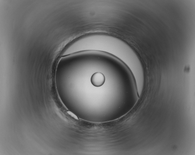 X0000113550252200910021537