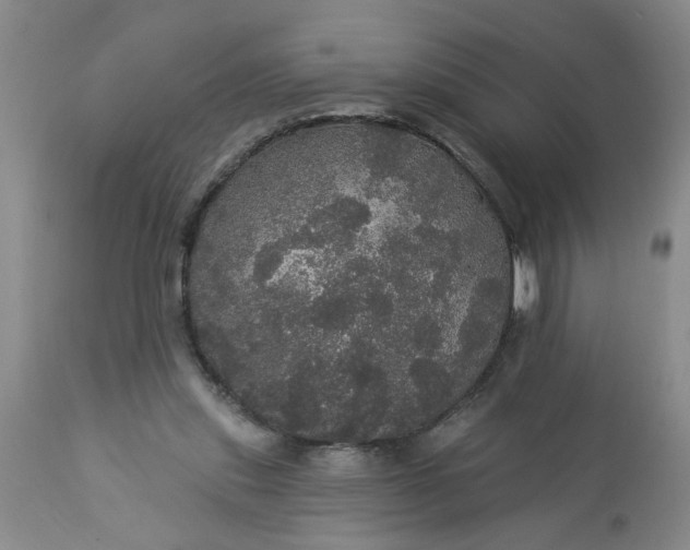 X0000113550253200910021537