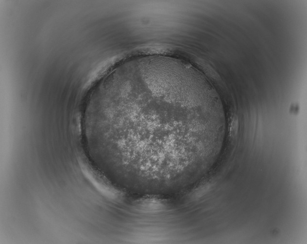 X0000113550254200910021537