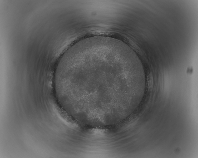 X0000113550255200910021537