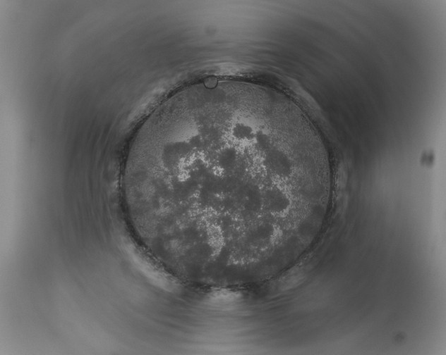 X0000113550257200910021537