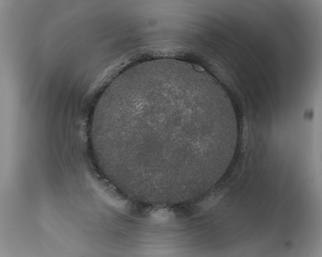 X0000113550258200910021537