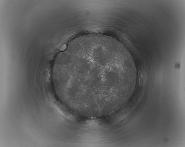 X0000113550259200910021537