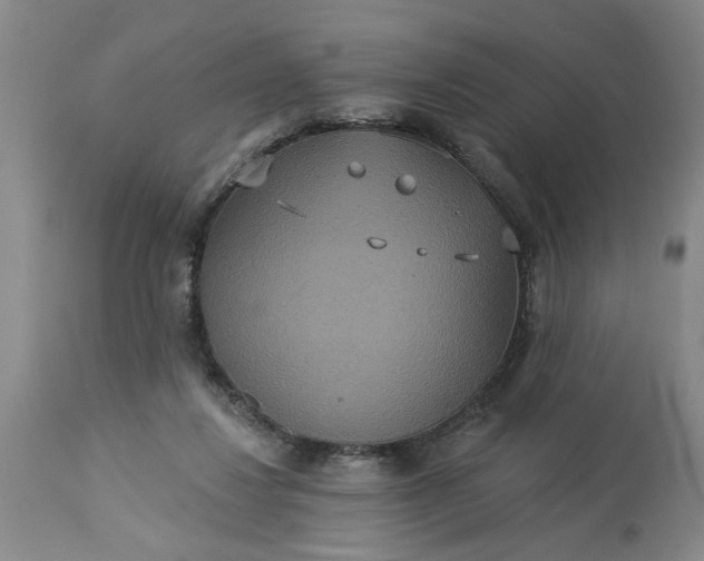 X0000113550260200910021537