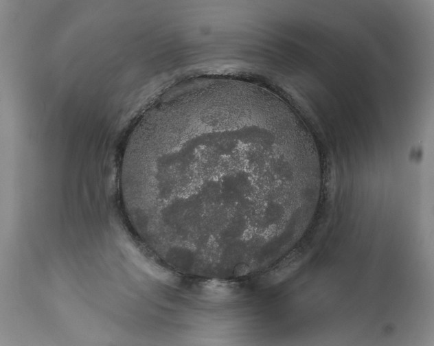 X0000113550261200910021537