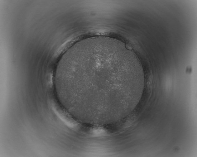 X0000113550262200910021537