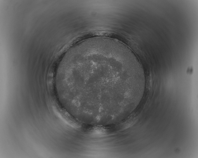 X0000113550263200910021537