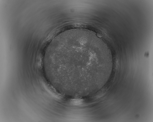 X0000113550266200910021537