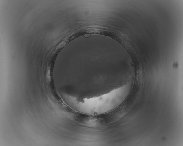 X0000113550267200910021537