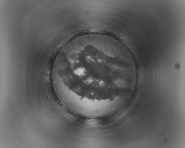 X0000113550269200910021537