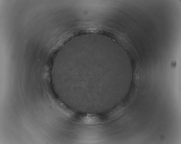 X0000113550270200910021537