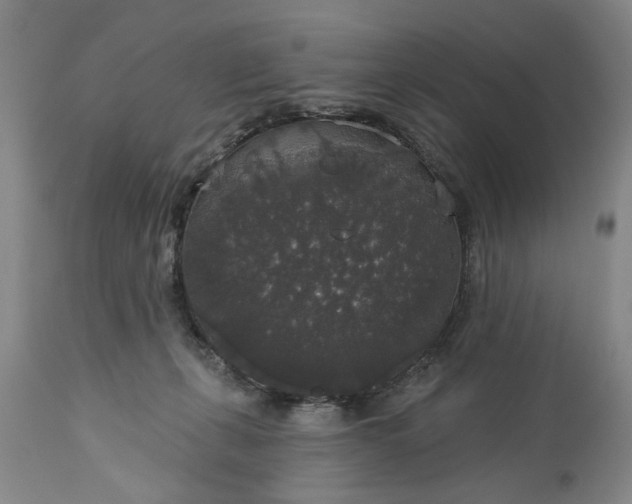 X0000113550271200910021537