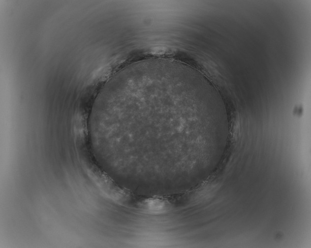 X0000113550272200910021537