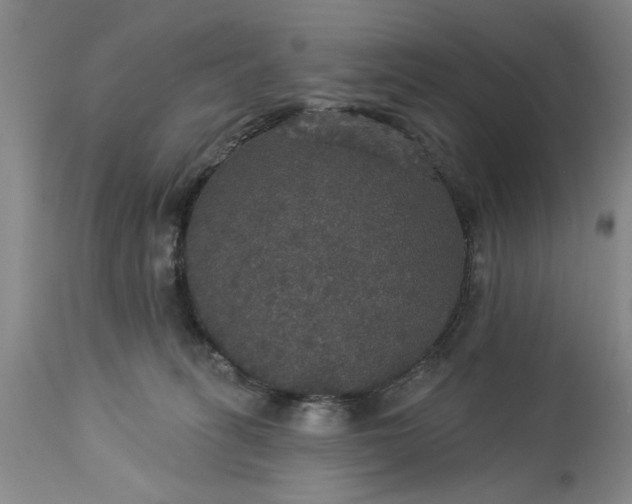 X0000113550275200910021537