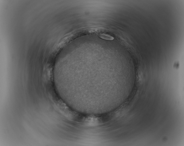 X0000113550276200910021537