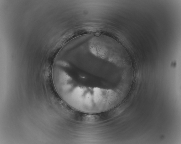 X0000113550277200910021537