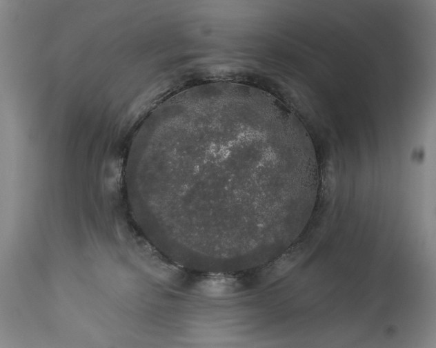 X0000113550278200910021537