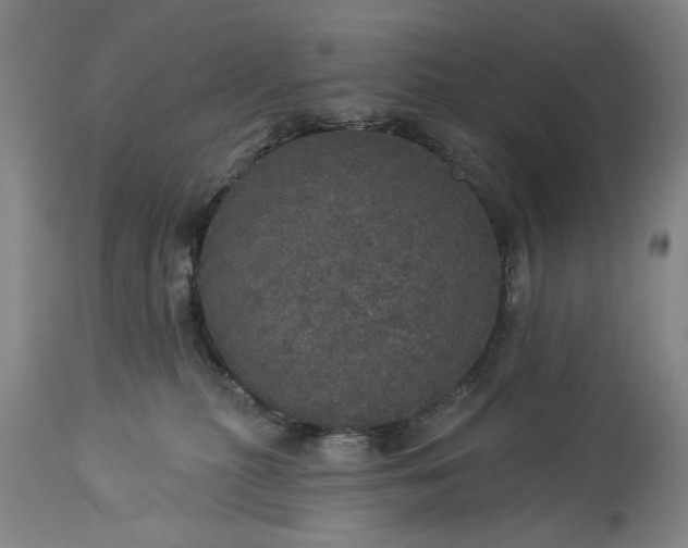 X0000113550279200910021537