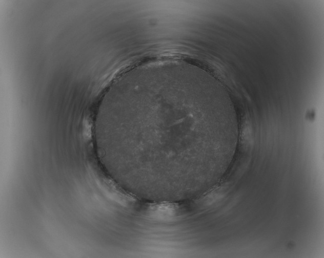 X0000113550282200910021538