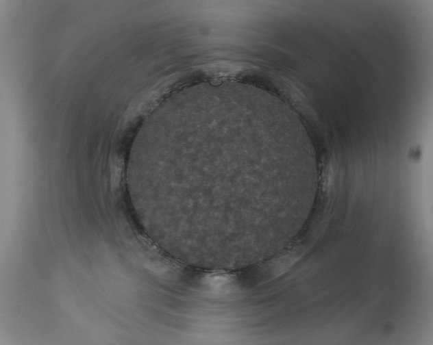 X0000113550283200910021538