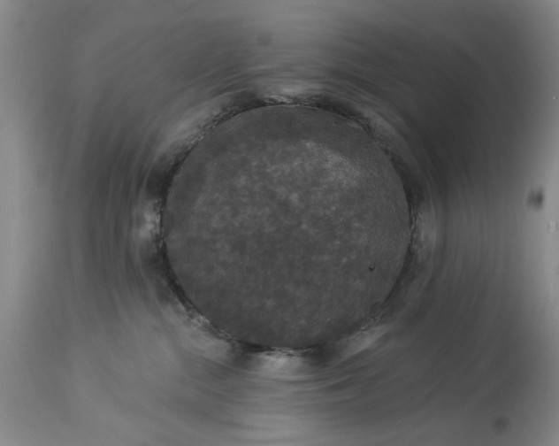 X0000113550284200910021538