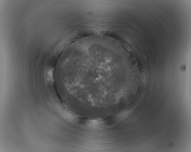 X0000113550286200910021538