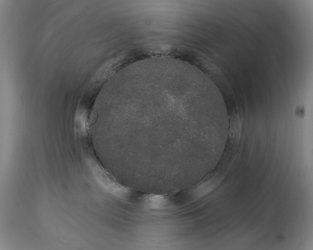 X0000113550287200910021538