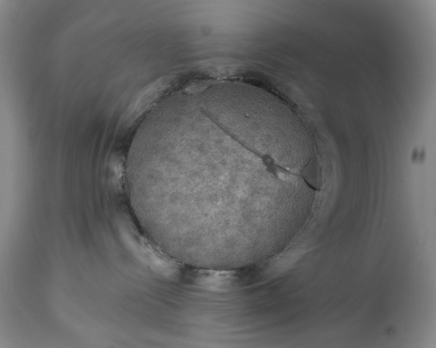 X0000113550288200910021538