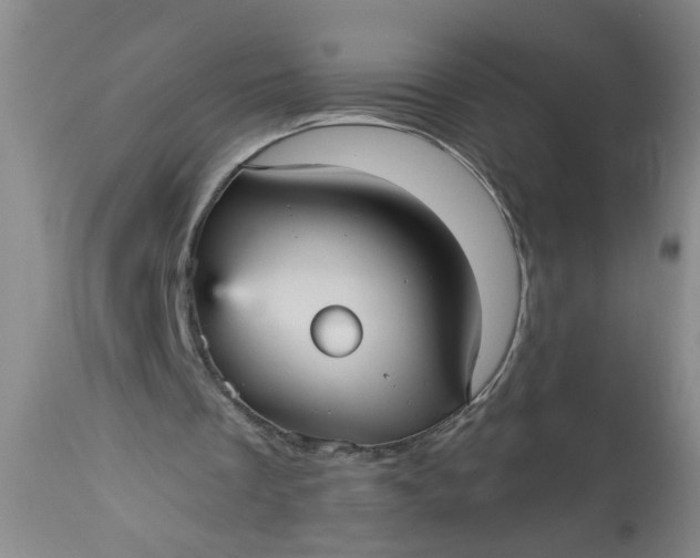 X0000113550289200910021537