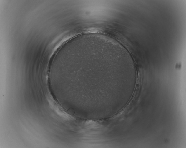 X0000113550290200910021537