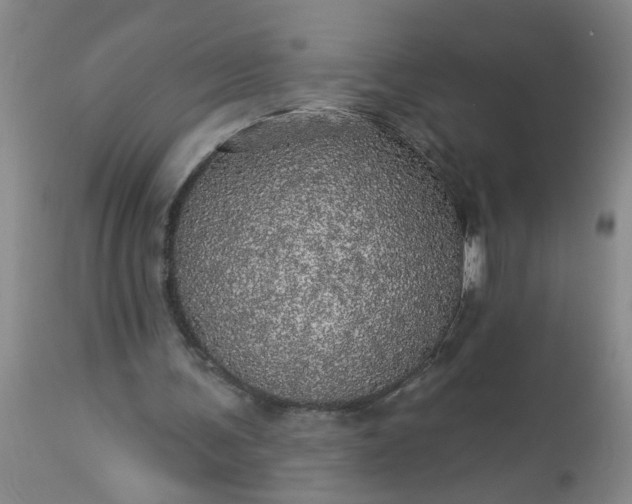 X0000113550291200910021537