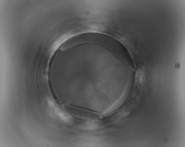 X0000113550292200910021537