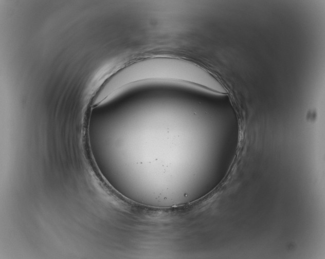 X0000113550293200910021537