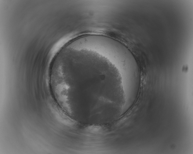 X0000113550294200910021537