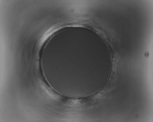 X0000113550295200910021537