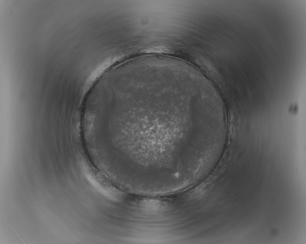 X0000113550298200910021537