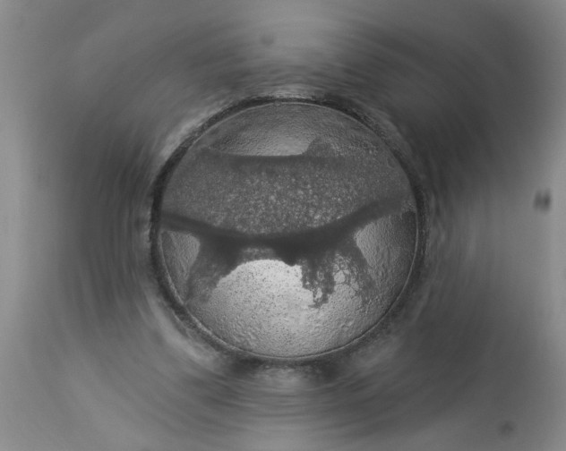 X0000113550299200910021537