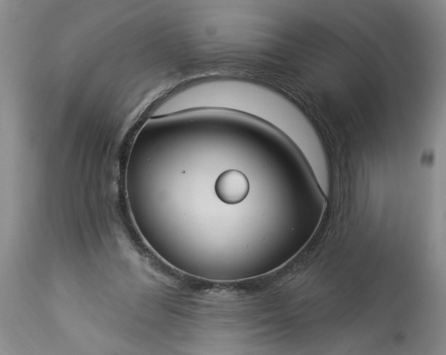 X0000113550300200910021537